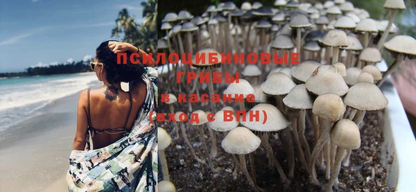 дурь Володарск